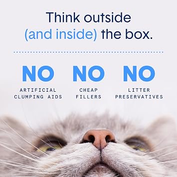 Boxie EcoTM Farm to Box Sustainable 30 Day Odor Control Clumping Cat Litter, 6.5lb Boxiecat 99.9% Dust Free Plant-Based Kitty Litter