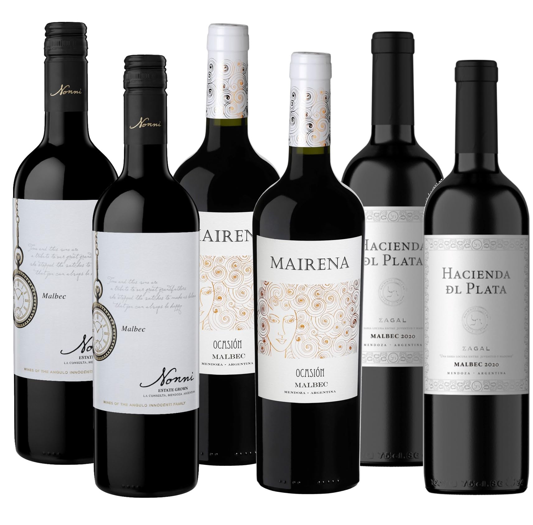 Atlantik Weine, Südamerika Malbec Probierpaket, Weinpaket mit Rotweinen aus Argentinien, Verschiedene Malbec aus Mendoza & Patagonien (6 x 0,75l)