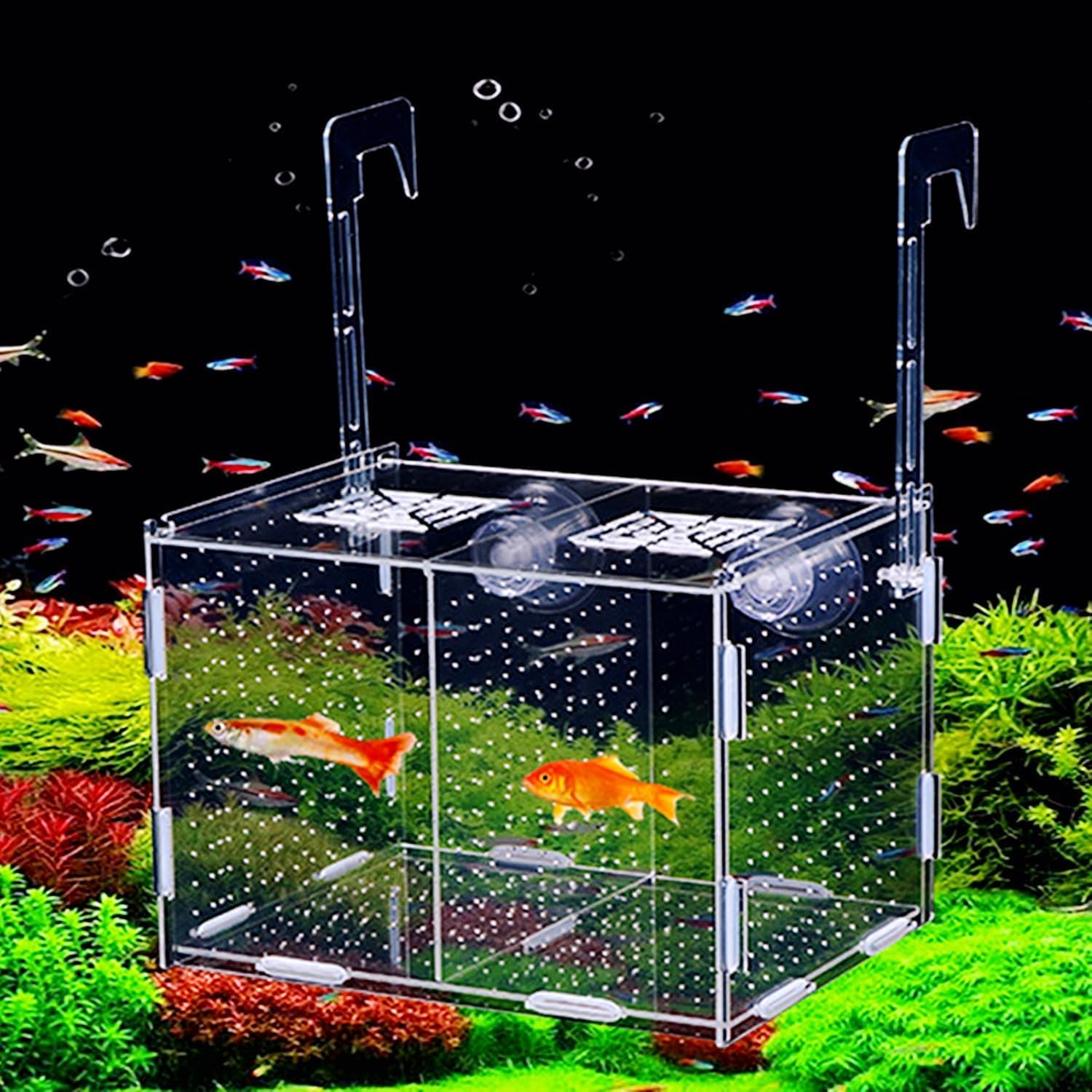Fischzucht Kasten Acryl Fischzuchtbox Laichkasten für Aquarium Isolationsbox Aufzuchtbecken Aquarium Fischabscheider für Fish Tank Aquarienfisch Zuchtbox für Babyfische