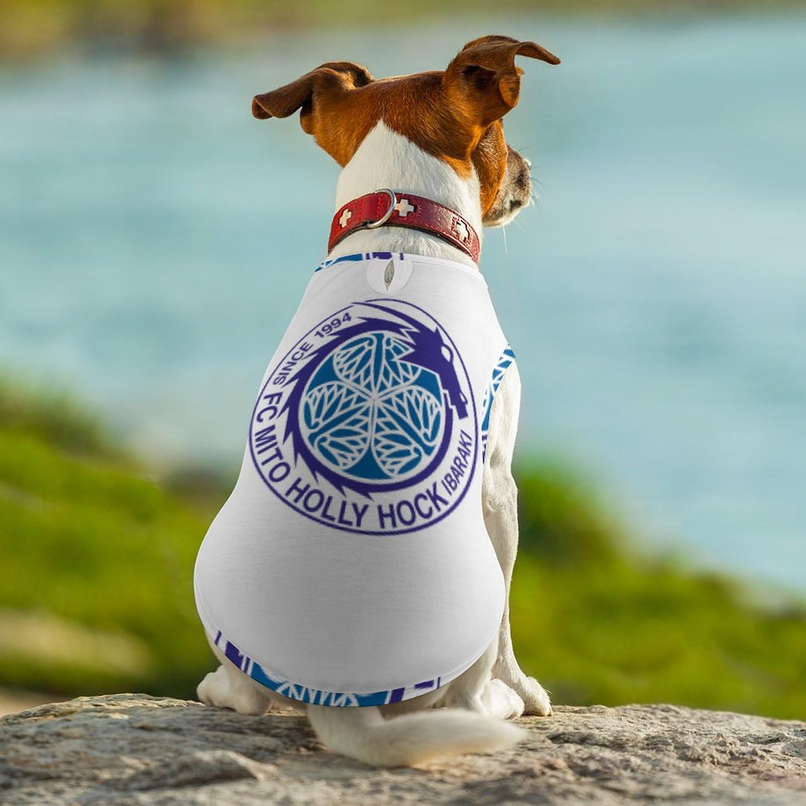 Amazon.co.jp: 水戸ホーリーホックペット服セーター犬服猫服秋冬冬
