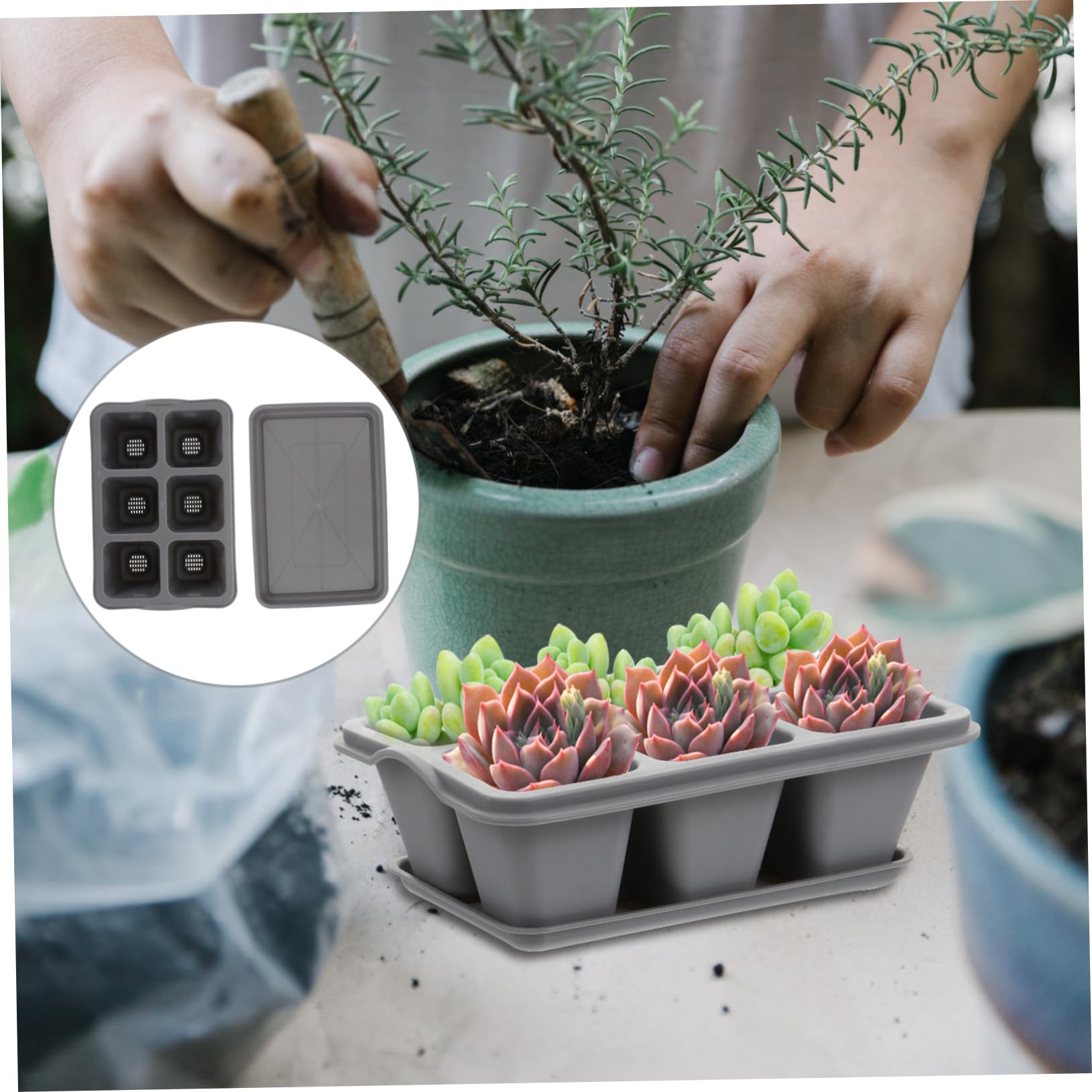 TOYANDONA 2 Ensembles Pot De Fleurs Succulentes Pots pour Plantes Extérieures Kit De Plateaux De Démarrage Soucoupe Herbe Jardinière Succulent Pot De Jardinière Plastique Gris 4 Pièces * 2