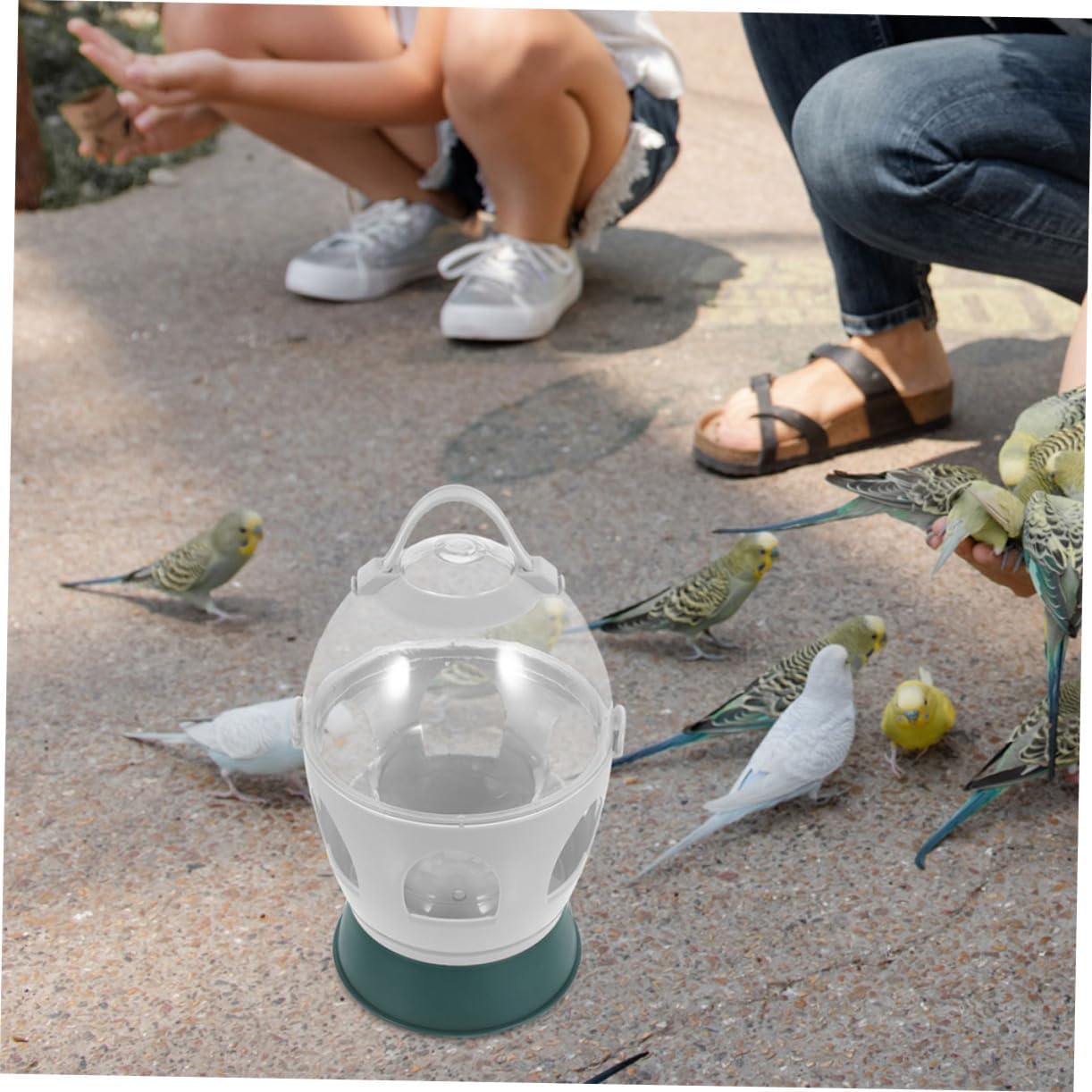 Abaodam Automatic Bird Water Dispenser Capacity Pet Bird Water Container for Pigeons Doves and Parrots Convenient Cage Accessory for Easy Watering and Reduced Mess