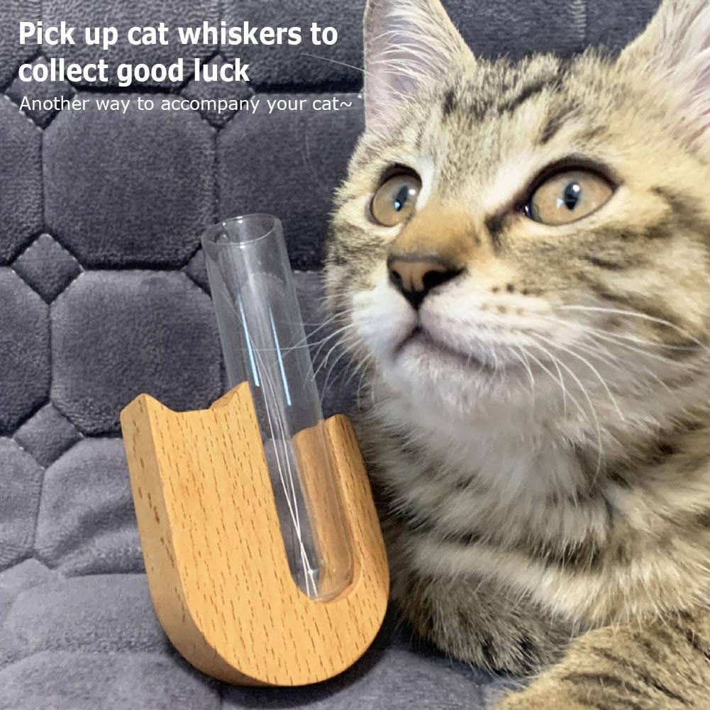 Set 4 Calamite Da Frigorifero A Forma Di Gatto – Portavaso Con Baffi, Magnetici E Decorativi, Regalo Per Amanti Dei Gatti