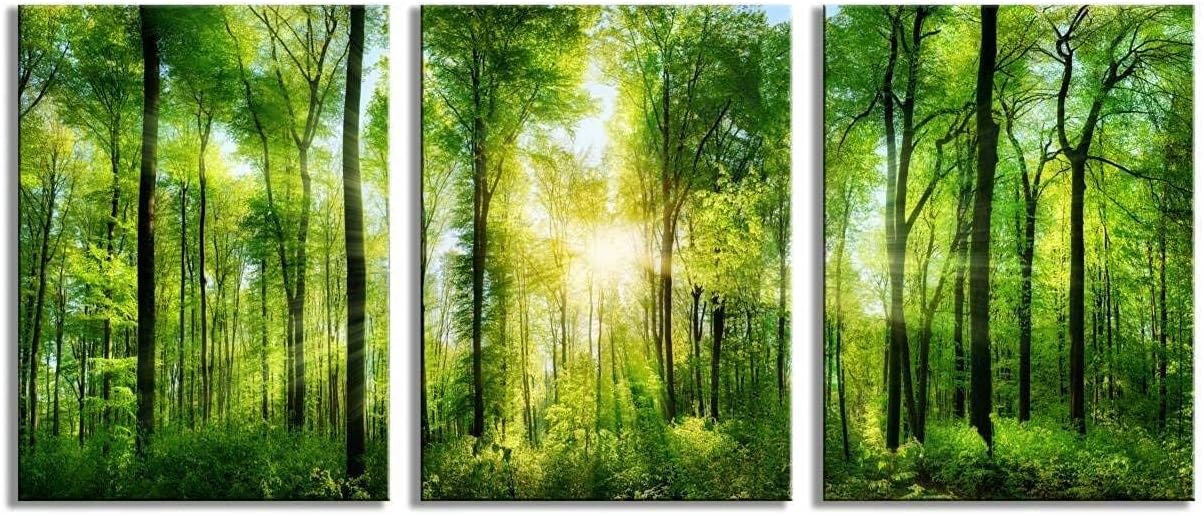 Forest Landscape Canvas Wall Art Set - 3 Panel Modern Nature Paintings with Green Trees and Sunrise Scenery, Minimalist Canvas Print for Living Room, Bedroom, or Office 12 x 16 Inch