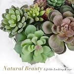 CCINEE Artificial Succulent Plant,16pcs Large Faux Flocked Succulent Decor for Floral Wall Garden Arrangement Home Office Decoration,Unpotted