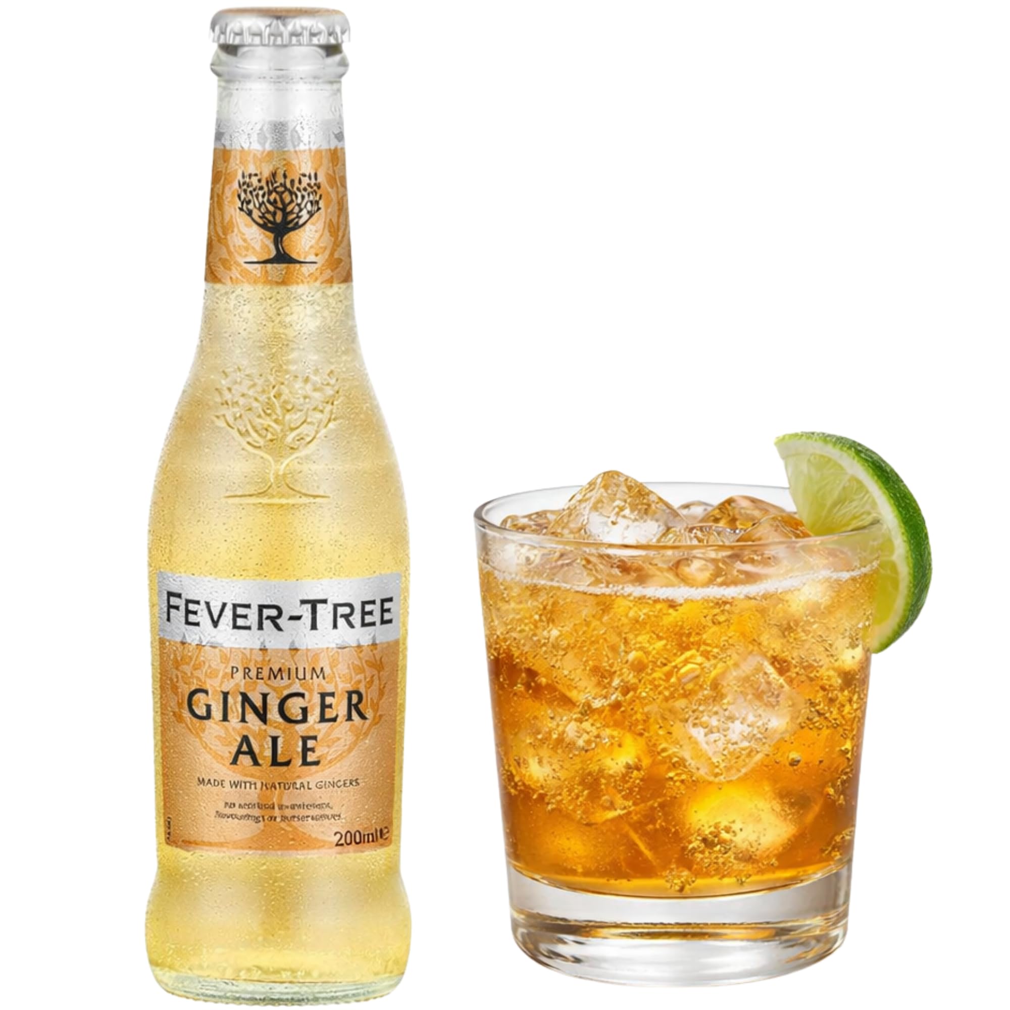 Fever Tree Ginger Ale Premium Ginger Beer 200ml Pack de 4 Botellas Whisky Ginger