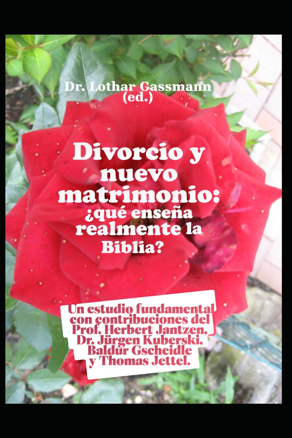 Divorcio y nuevo matrimonio: ¿qué enseña realmente la Biblia?: Un estudio fundamental con contribuciones del Prof. Herbert Jantzen, Dr. Jürgen Kuberski, Baldur Gscheidle y Thomas Jettel.