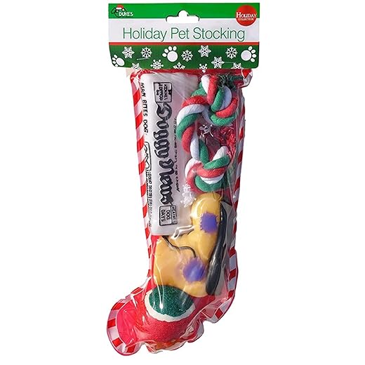 The best Christmas gifts for pets - Pack In One Day Christmas Stocking for Dogs. Squeaky newspaper / boot toy, a red, green and white tennis ball and a red, white and green cotton knotted rope.