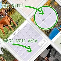 Vista 212 de Razas de Perros 2017