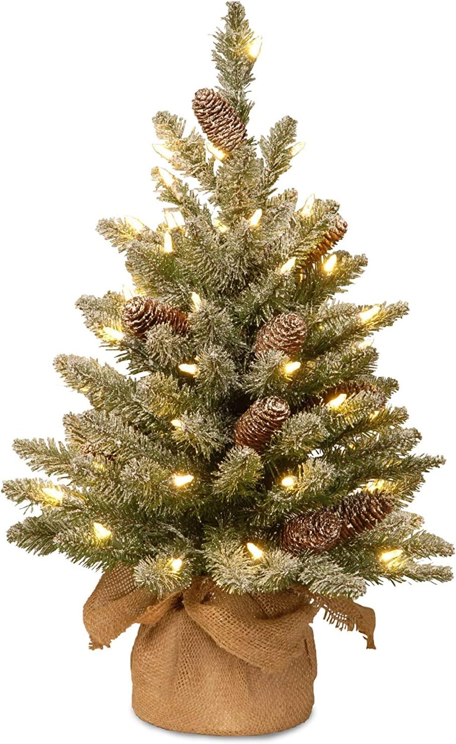 National Tree Company Pre-Lit Artificial Christmas Tree, Green, Snowy Concolor, White LED Lights, Decorated with Pine Cones, Includes Cloth Bag Base, ...