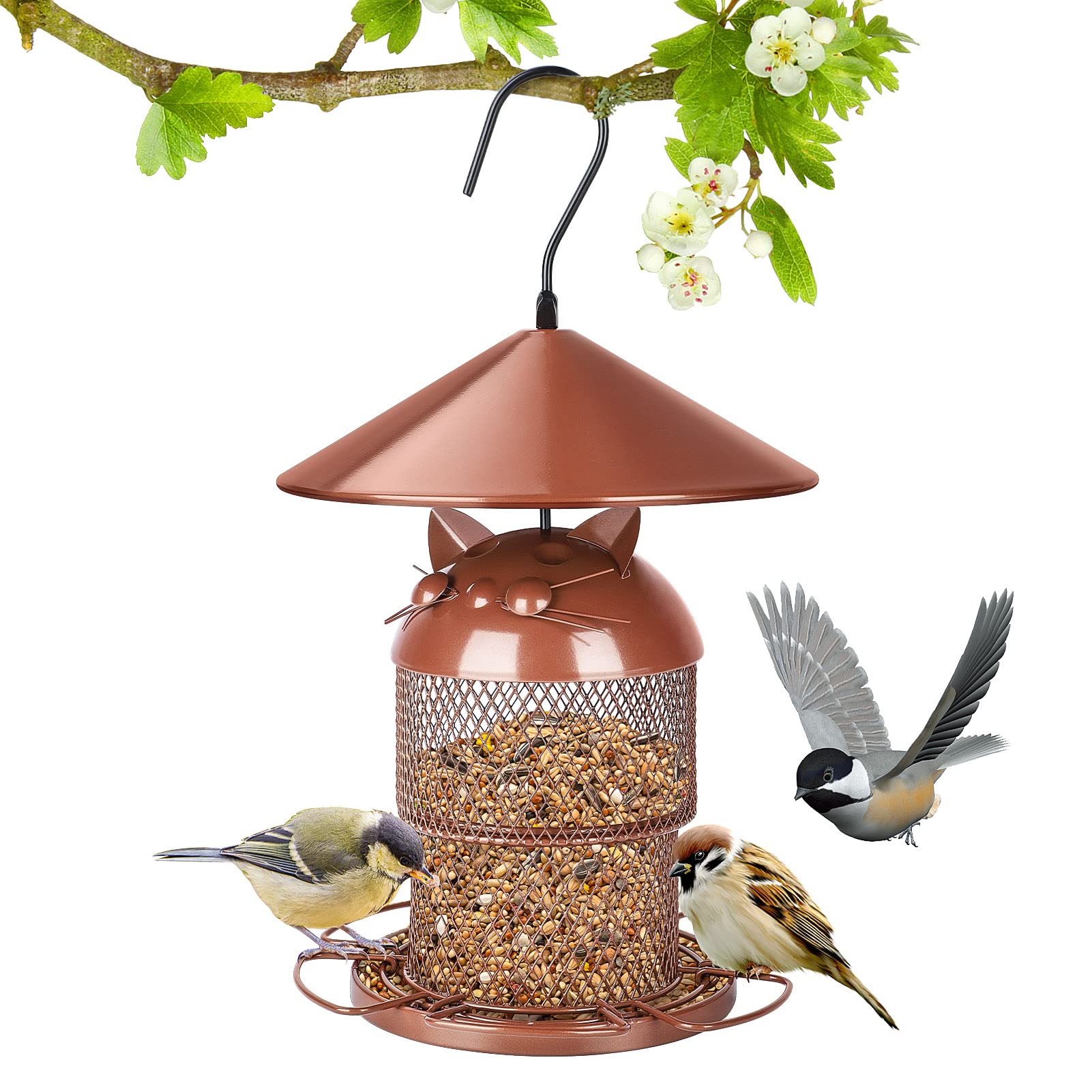 10 Best Squirrel Proof Purple Martin Bird Feeders for Your Backyard