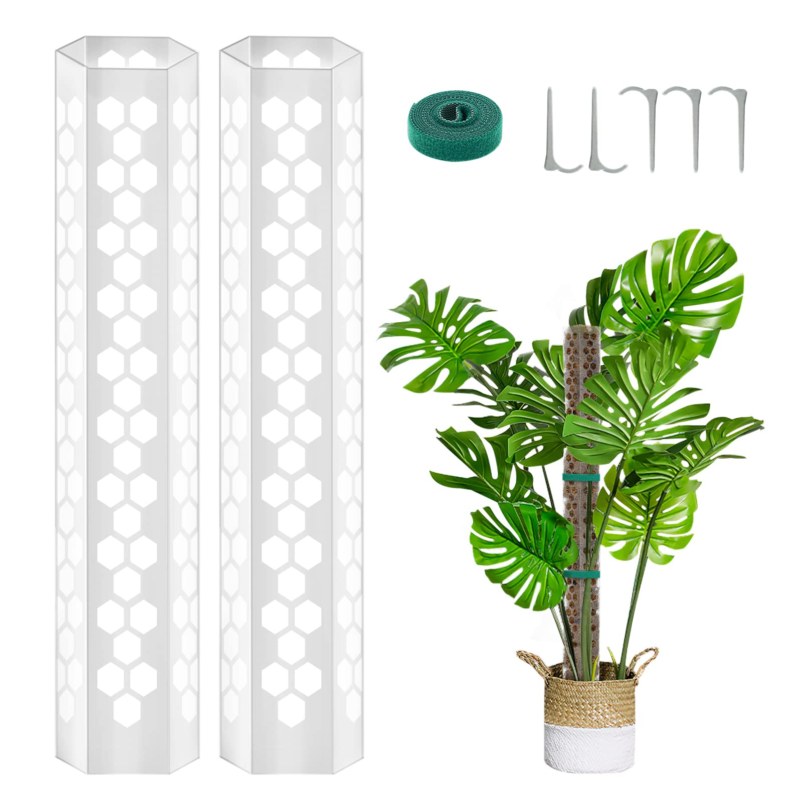 Augot 15.7“ Plastic Moss Pole for Plants Monstera, Plant Poles for Climbing Plants, Clear Moss Pole Plant Support for Indoor Plants Work with Sphagnum Moss （2 Pcs）