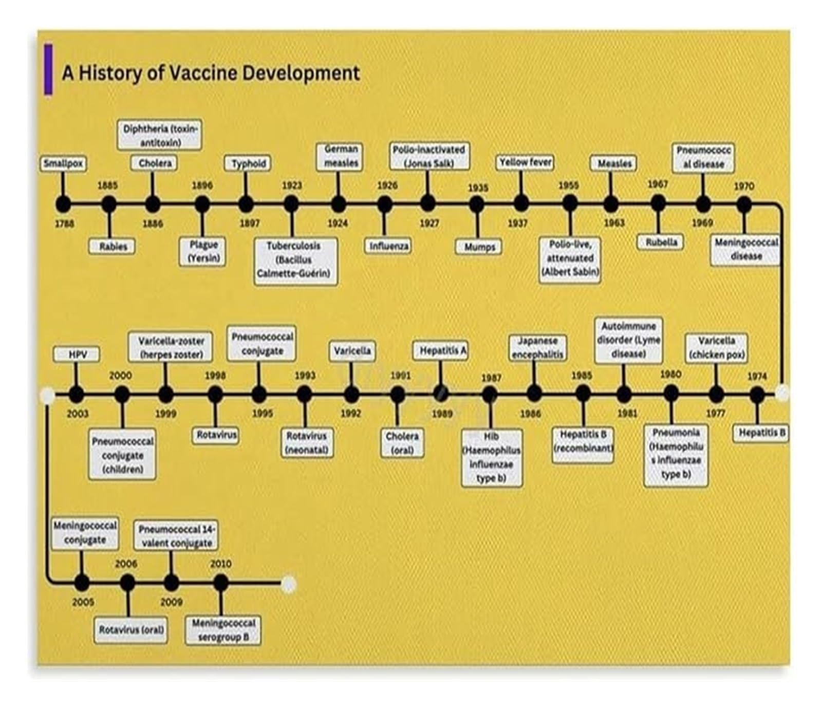 XGINERFEX Biology of Immunity Poster History and Science of Vaccine Development Classroom Educational Wall-Art Decor(Framed,16x24inch(40x60cm))