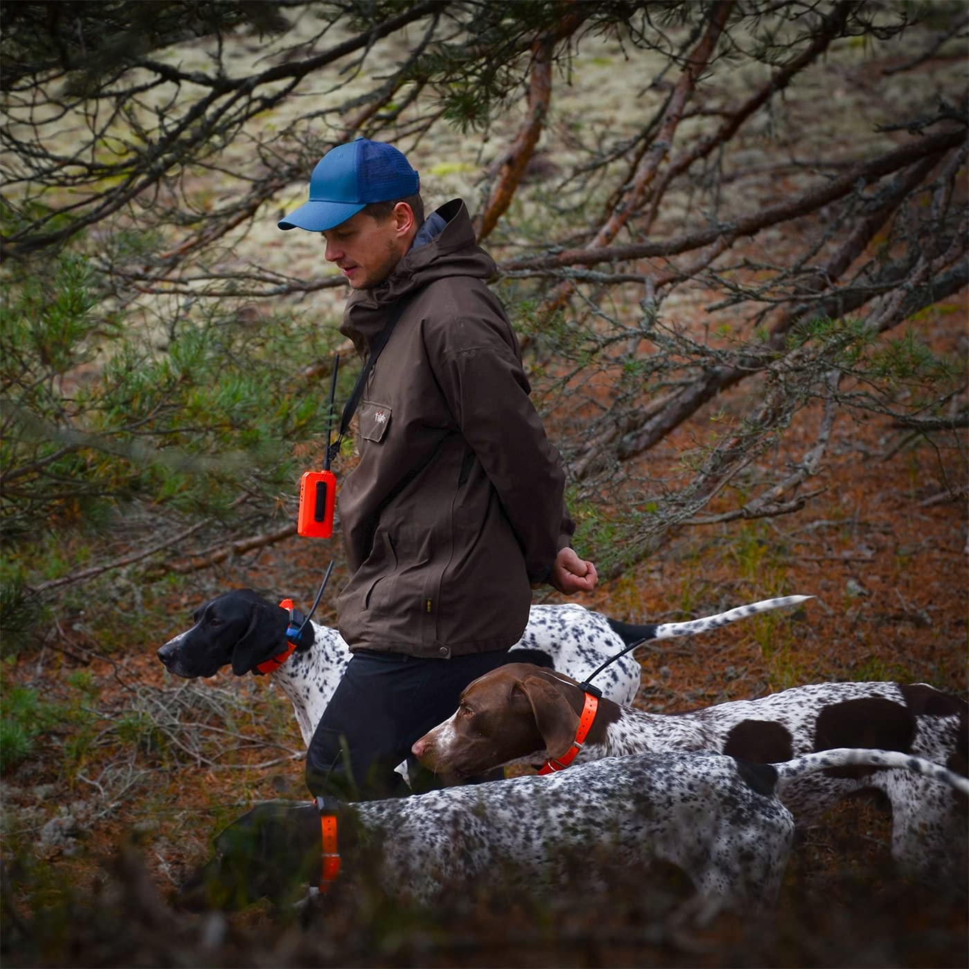 DogTrace GPS X30B Hundeortungsgerät für die Jagd, bis zu 13 Hunde, mit Tasche, Orange