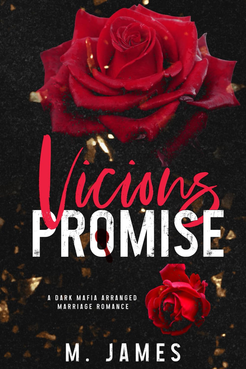 Vicious Promise: A Dark Mafia Arranged Marriage Romance (Dark Promises)