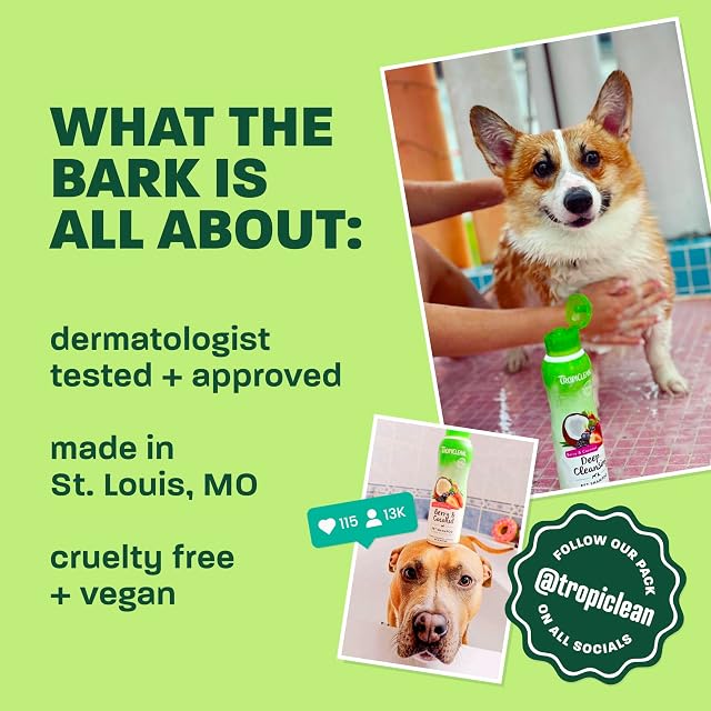 Foto 5 de 8 de TropiClean Champú para Mascotas - Alivio Medicado de la Picazón