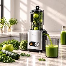 Homend Vitamillion 2605H Kat  Meyve S kaca