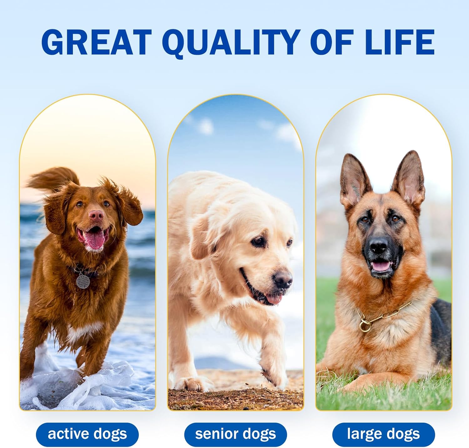 Dog Aspirin for Large Dogs, Anti-Inflammatory and Pain Relief Supplement, Joint Discomfort Relief, Pain Reliever for Dogs, Chicken Flavored Powder, 300mg per Serving, 2 OZ/Scoop Included