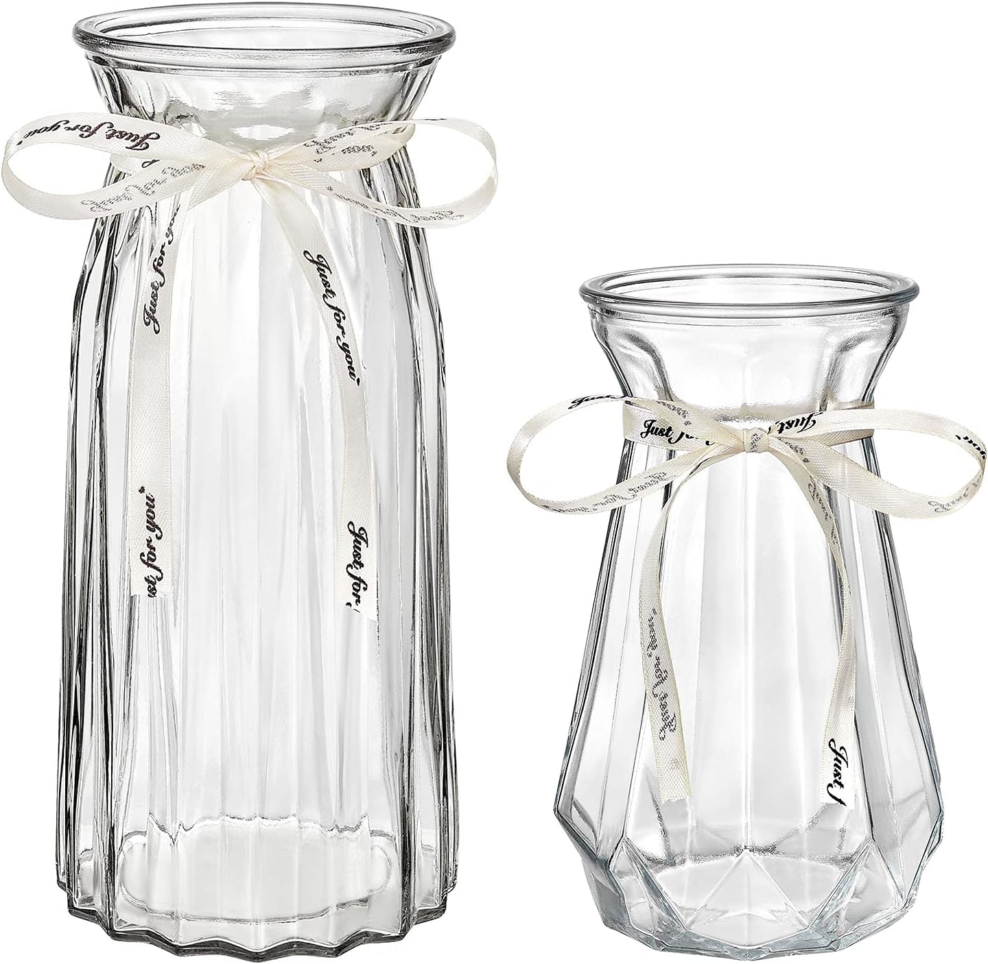 XILEI Glass Vases for Flowers,Clear Vases Set of 2 ，Flower Vase Decorative for Home Decor, Desk Placement and Gift (A2)
