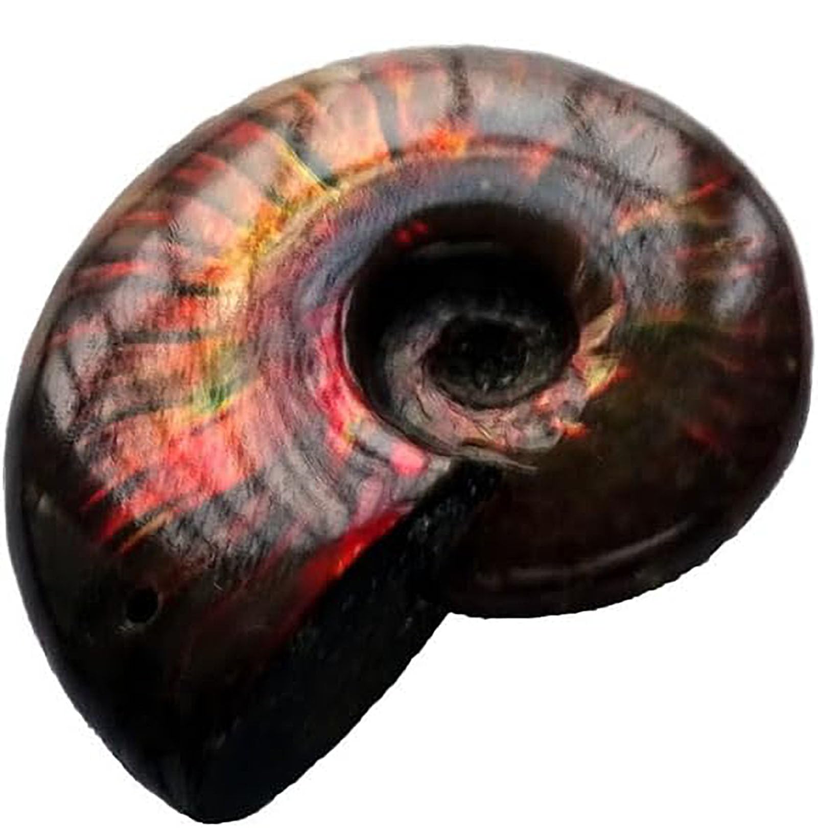 Tęczowy amonit Conch Cleoniceras iryzujący, skamieniałość amonitu, ammolity ze Madagaskaru, naturalny kamień szlachetny do dekoracji domu