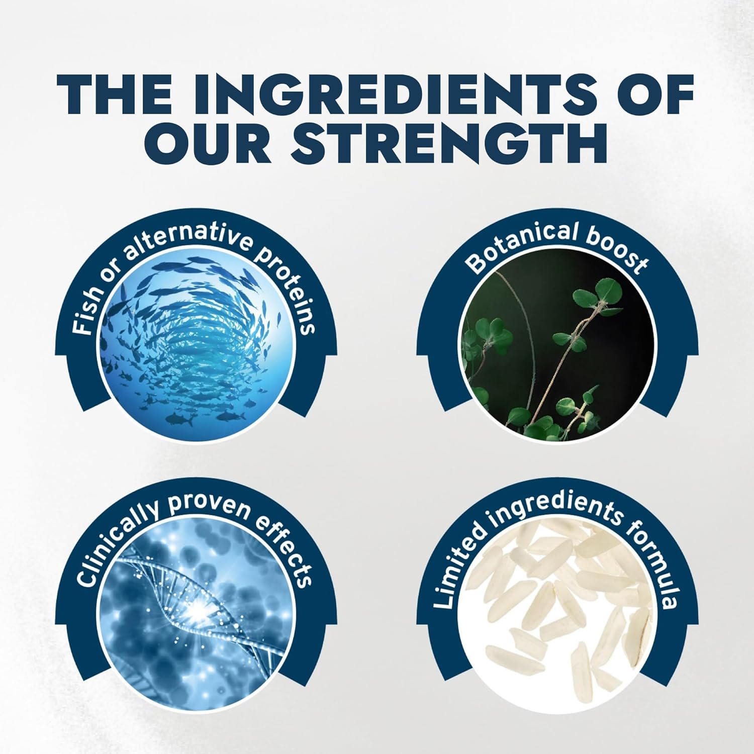 Forza10 - Dog Food, Vet Formulated Wet Dog Food for Itchy Skin, Sensitive Stomach & Coat Health, Non-GMO, Fish Flavor, Made in Italy (3.5 oz, 32 Pack)