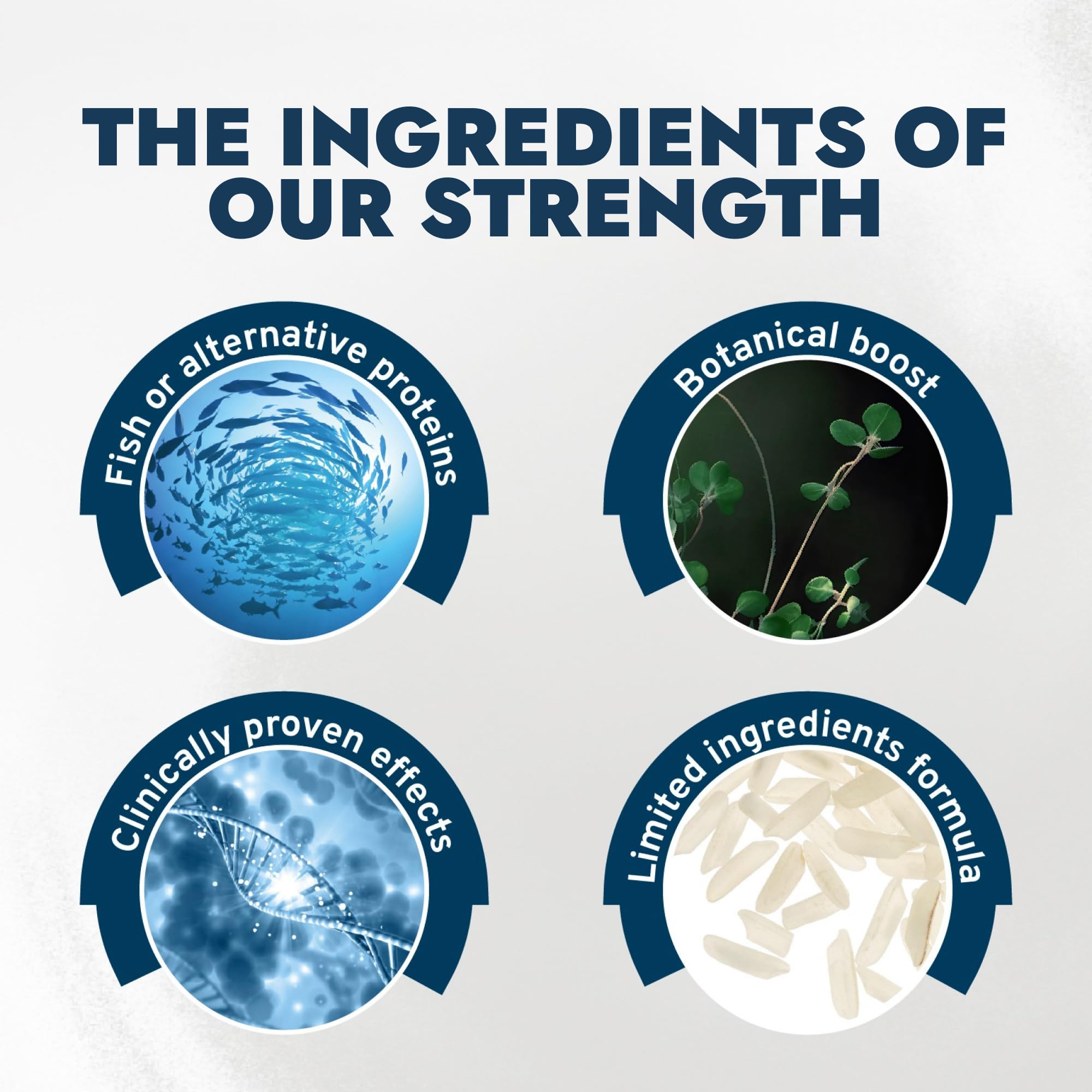 Forza10 - Cat Food, Vet-Approved Hypoallergenic Wet Cat Food, Non GMO, Lamb Flavor, Adult Cats with Allergies, Skin & Coat Support, Made in Italy (3.5 oz, 32 Pack)