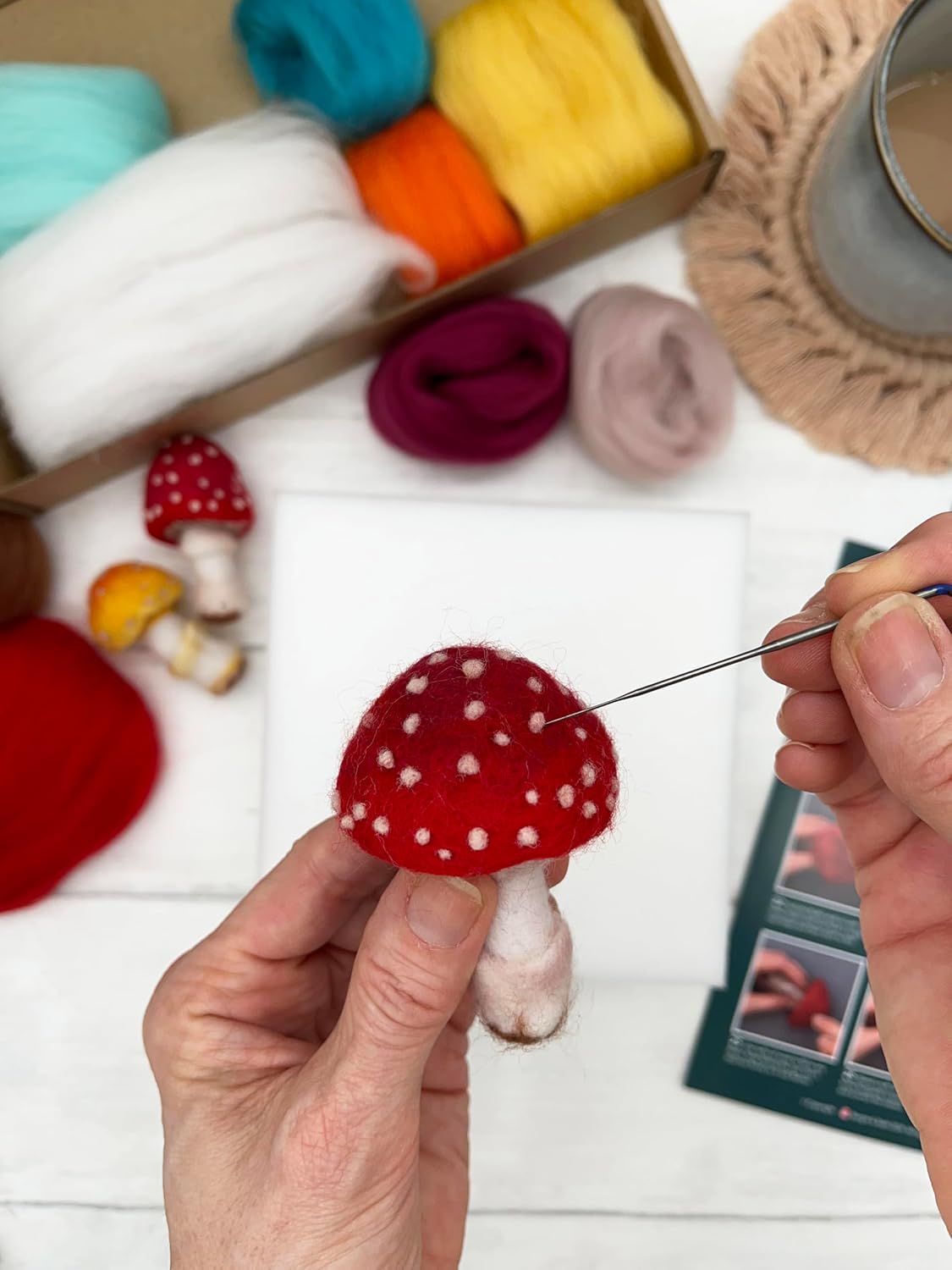Bergin & Bath Needle Felting Kit, Toadstools - Adult Art Craft Kit for Beginners - Planet Friendly Wools