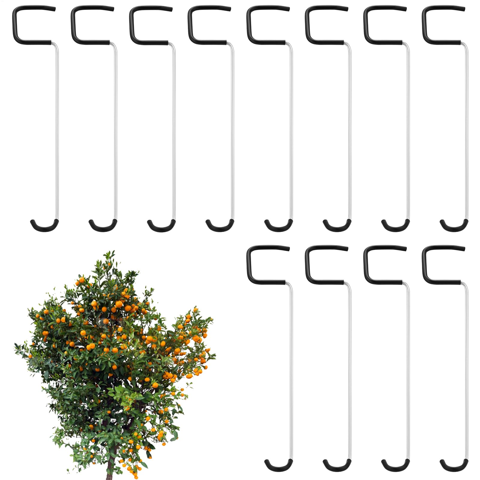 Separadores de ramas para árboles frutales para guiar plantas en el huerto