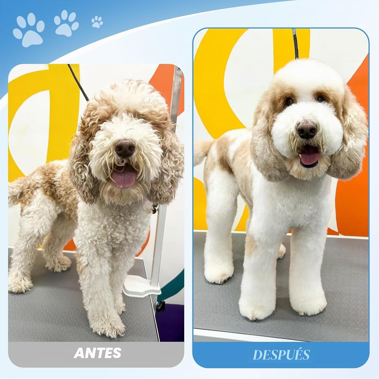 JASON Juego de tijeras profesionales para perros, 6 en 1, juego de tijeras rectas/curvadas/chunker y peine para perros, gatos, mascotas, con tornillo ajustable, color plateado