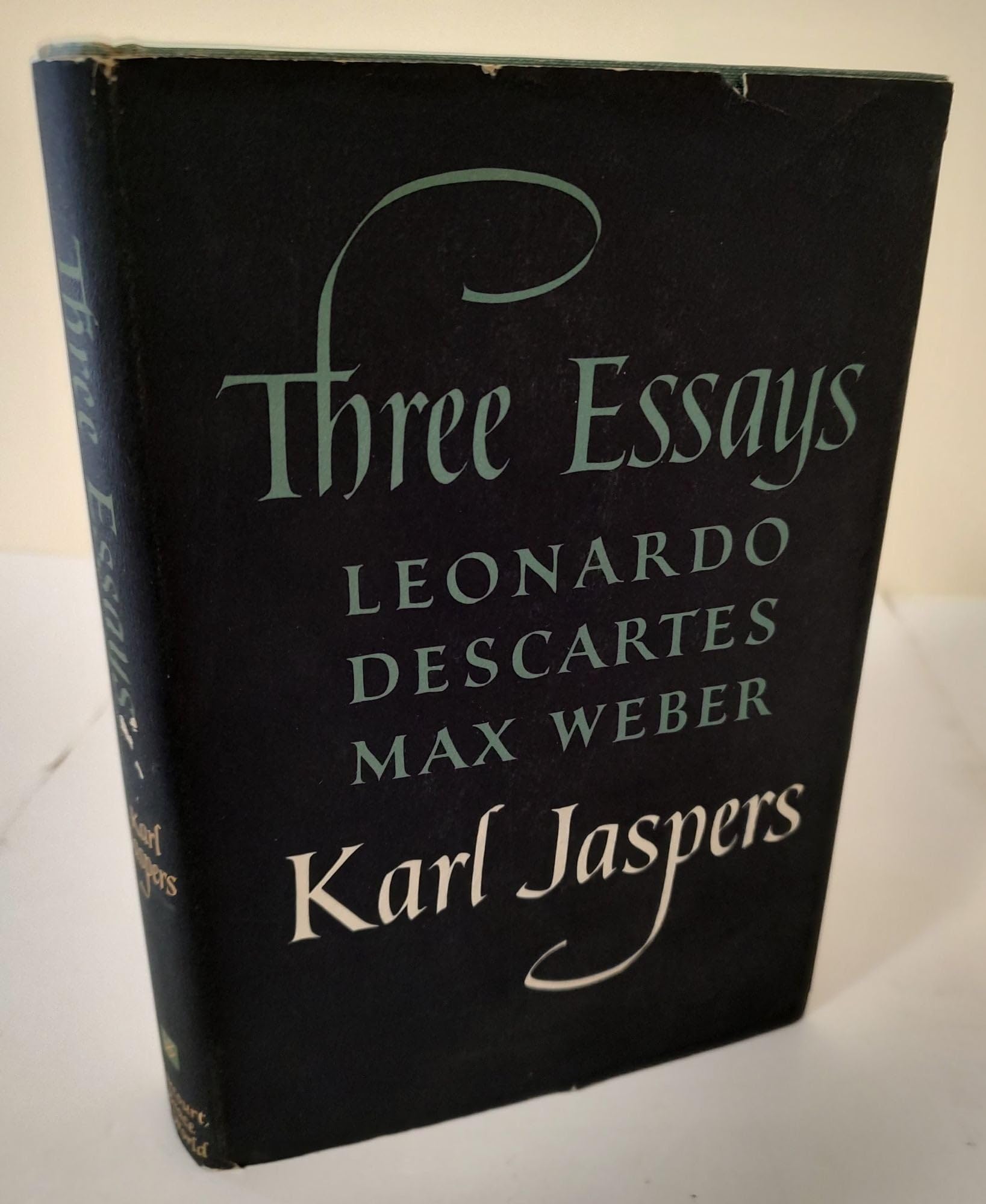 Allgemeine Psychopathologie [ペーパーバック] Jaspers， Karl Allgemeine Psychopathologie | Karl Jaspers Gesamtausgabe