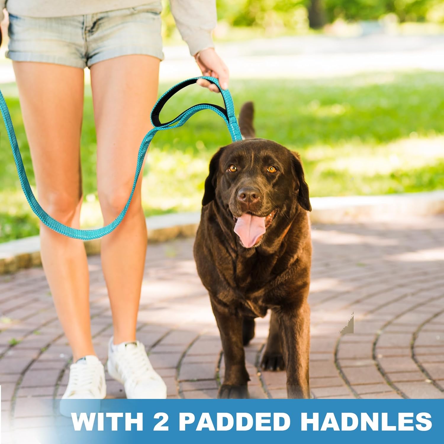 Leash and Collar Set With Nylon Soft Hand Pad, Adjustable Reinforced Collar for Large Dogs, 5FT, Blue Blue Large/5FT image 6 of 7 B0D7PYJ7SP