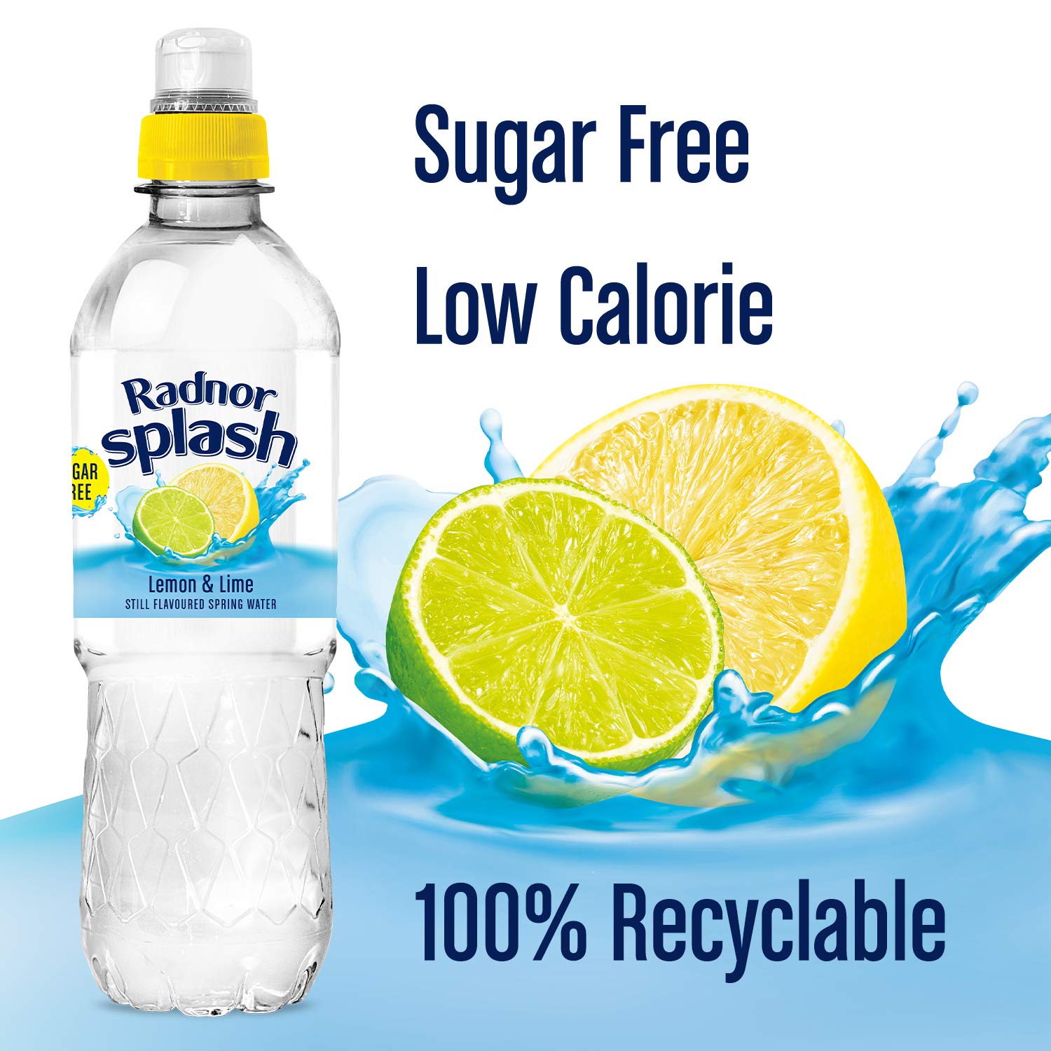 Buy Radnor Splash Lemon and Lime SUGAR FREE Flavoured Water 24 x 500ml Online at desertcart INDIA