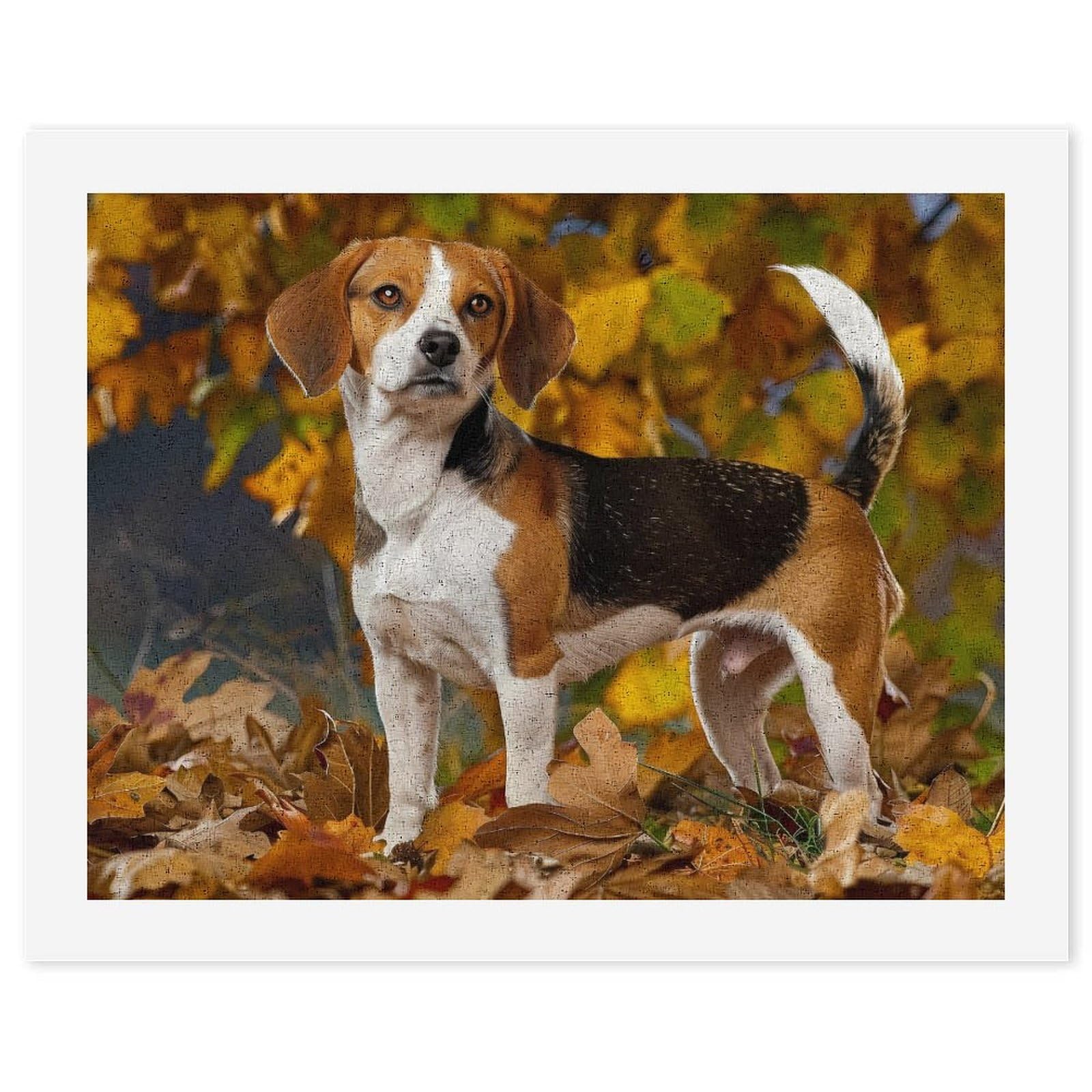 Malen nach Zahlen, Motiv: Hund im Herbst, bedruckt, für Erwachsene, Anfänger, bunt, DIY, einfaches Malen für Zuhause, Wanddekoration