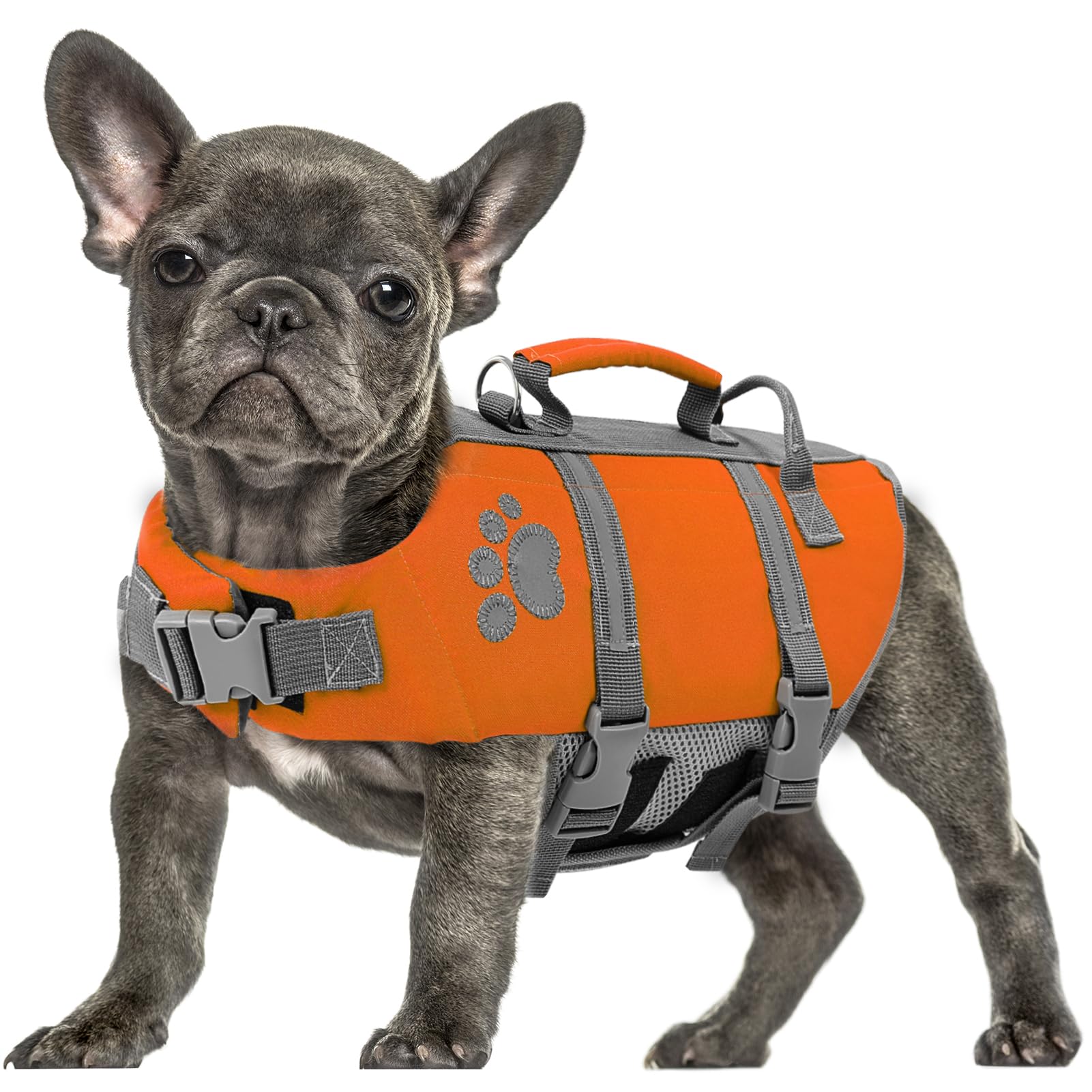 Queenmore Dog Swimming Vest X-Large, Reflective, Lightweight