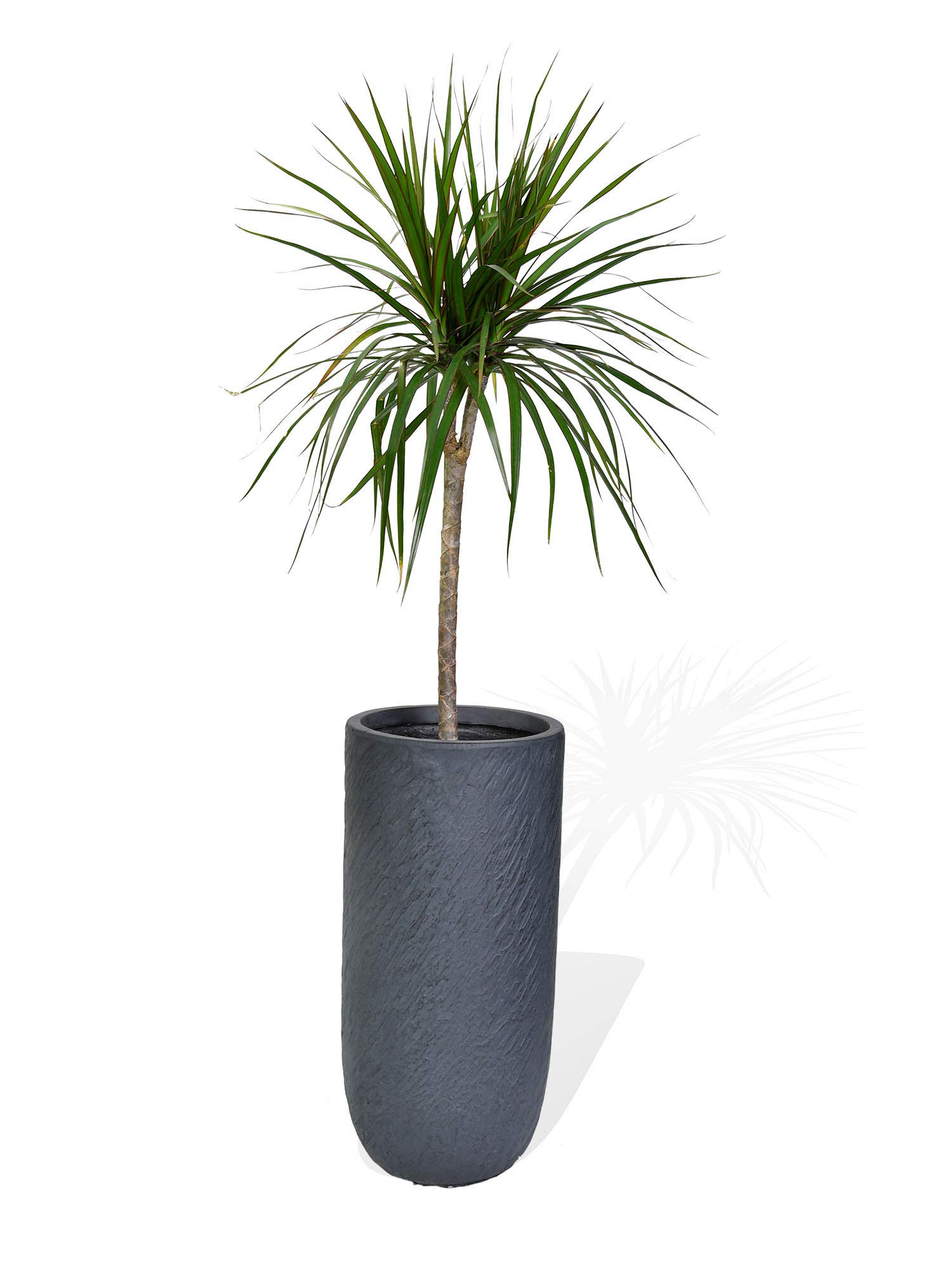 Köhko® Blumenkübel Pflanzkübel aus Fiberglas Pflanzübertopf ø24xH49 cm Anthrazit Rund Übertopf