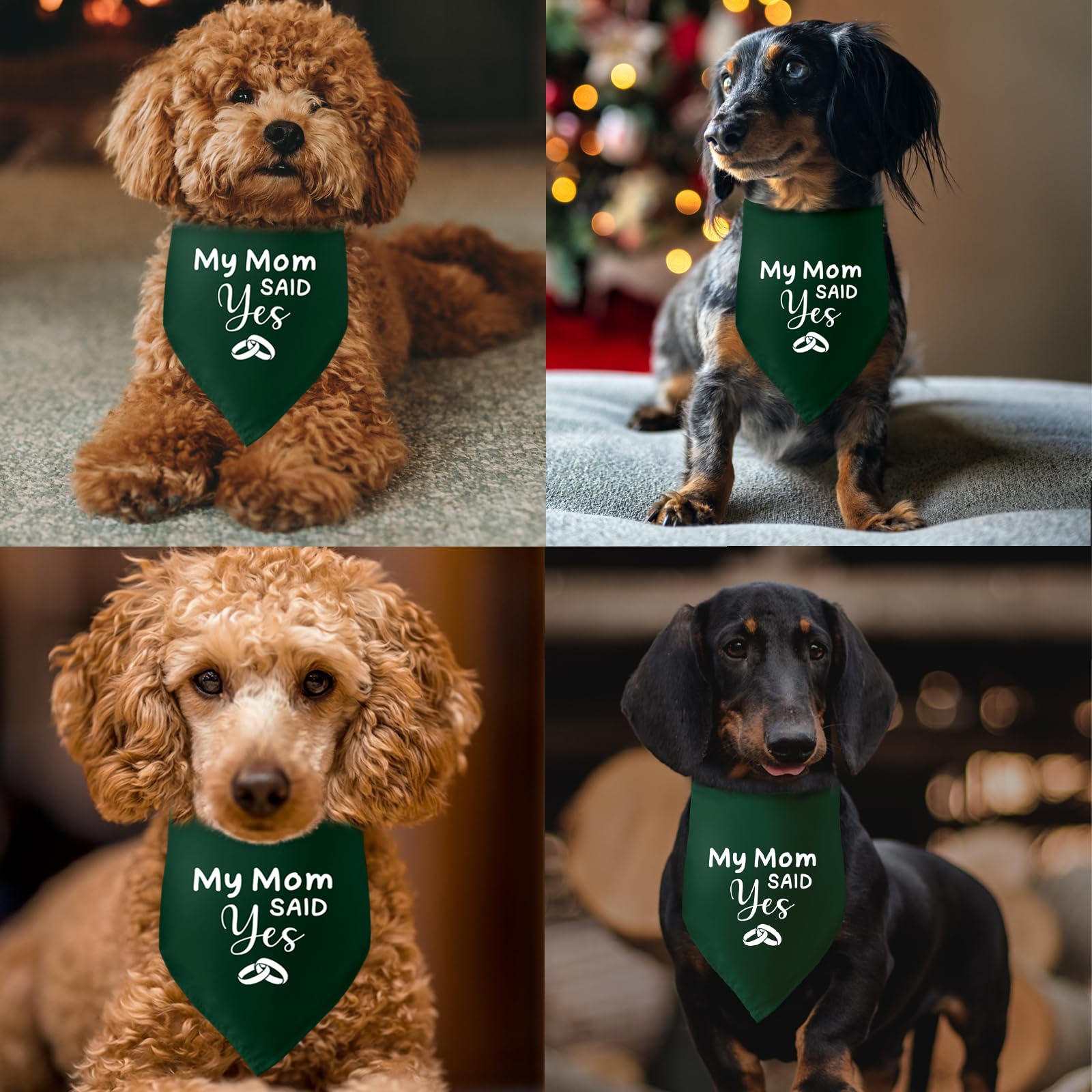 Lustiges Hunde-Halstuch Für Hochzeit/Verlobung – Mit Aufdruck „My MOM Said Yes“, Polyester, 63,5 Cm