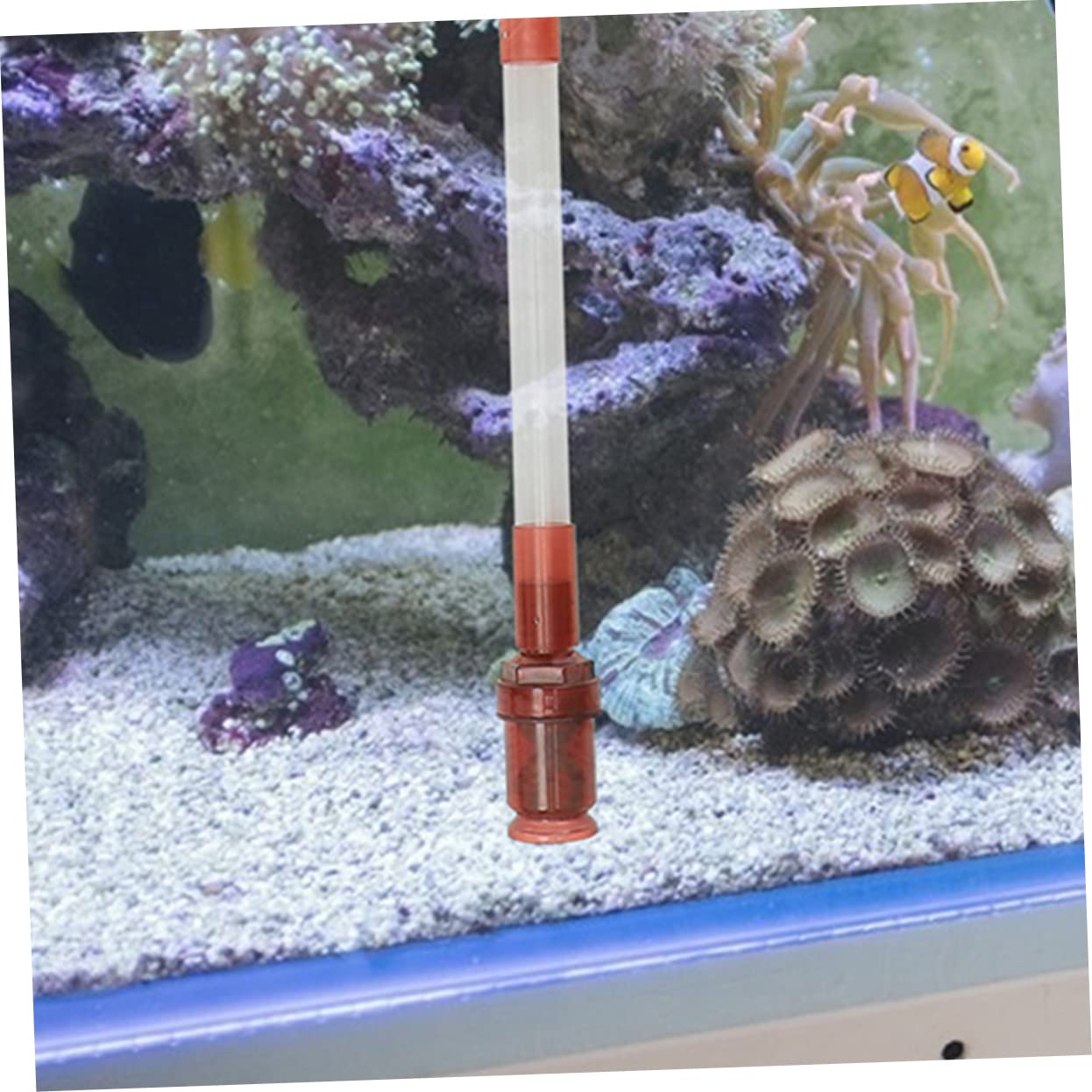 Sifón para Acuarios Portátil y Práctico Herramienta De Limpieza para Peceras Cambia Agua Fácilmente y CREA Un Saludable para Tus Peces