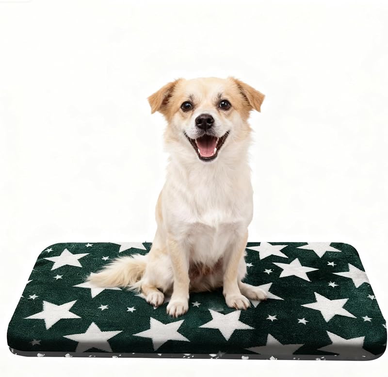 Cama para Cães e Gatos com Base Antiderrapante e Lavável Wittop Dog-A Verde 76,2 x 50,8 x 3,56 cm