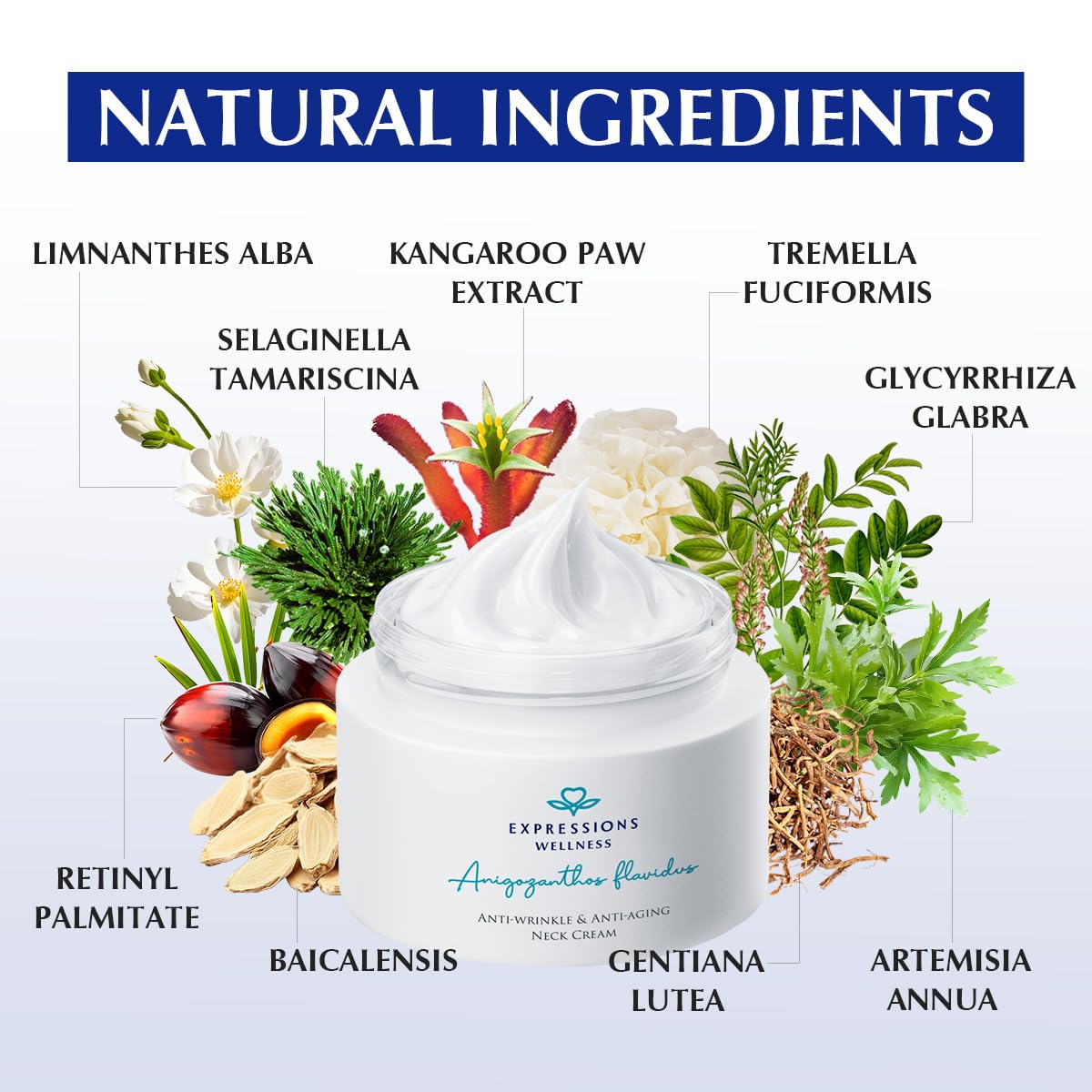 Neck Firming Cream: Tighten and Lift Neck Cream with Retinol, Collagen & Peptides, Anti-Aging Wrinkle Moisturizer for Face, Neck, Chest & Décolleté, 1.76 OZ - Image 7