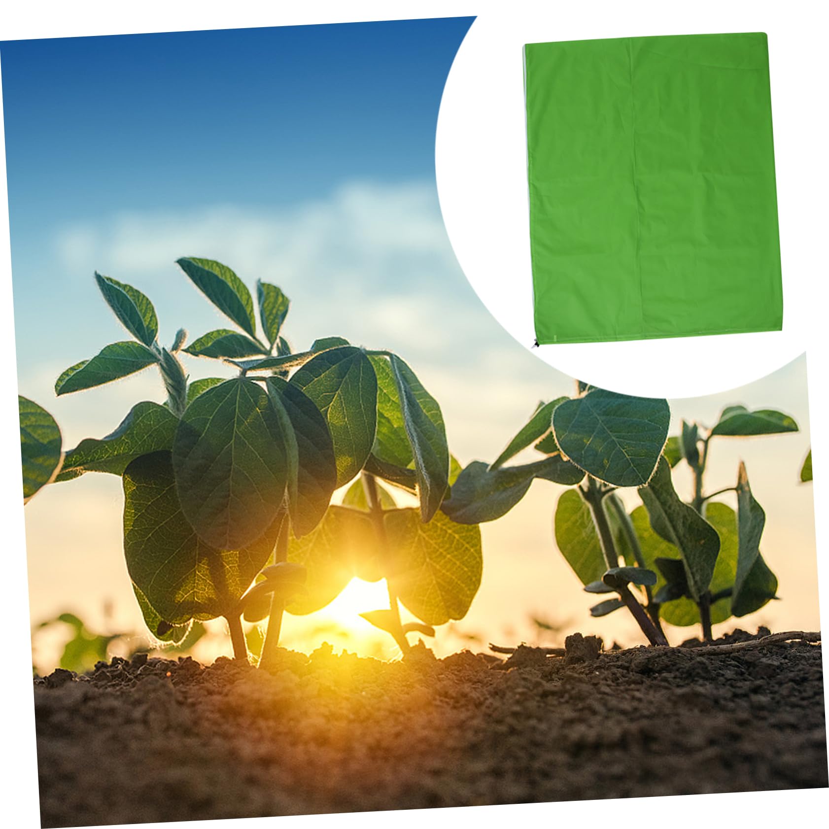 Sacco di Protezione Invernale per Piante Verde Riutilizzabile | Tessuto Non Tessuto, Protezione dal Gelo per Pomodori, Uso Esterno in Inverno