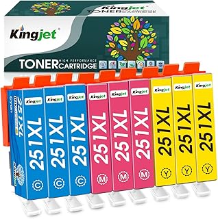 Kingjet 251 Ink