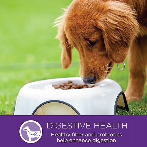 Miniatura 11 de Alimento seco natural para perro, Wellness Complete Health , Azul, Amarillo