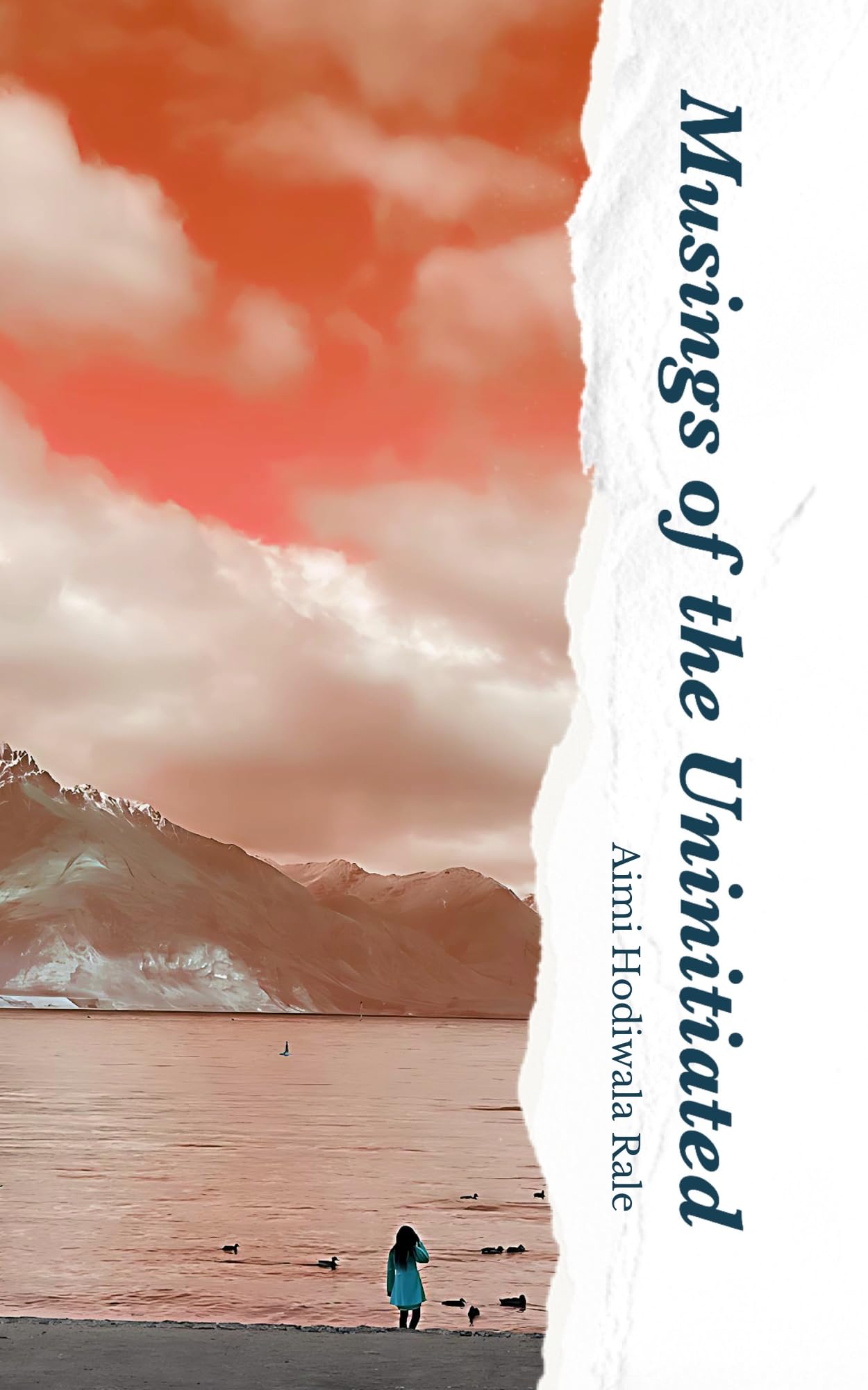 Musings of the Uninitiated