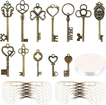 SANNIX 48 Pcs Vintage Skeleton Keys Flying Keys Charms with 50 Pairs Dragonfly Wings and 30 Yards Elastic Crystal String for Room Decorations