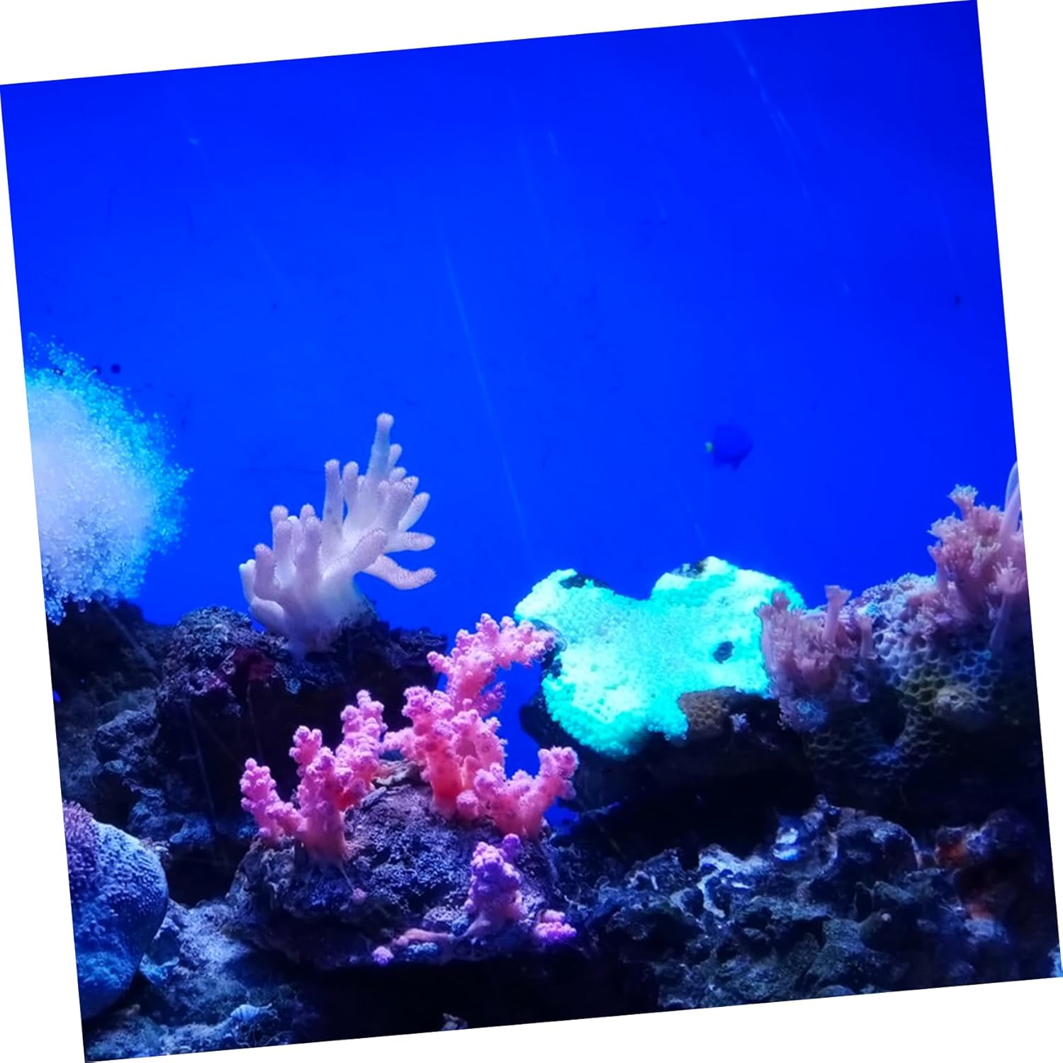 BESPORTBLE Aquarium Background Wallpaper Roll Self Adhesive PVC Fish Tank Backdrop for Easy Installation and Stunning Aquatic Decor Long High High Resolution Graphics
