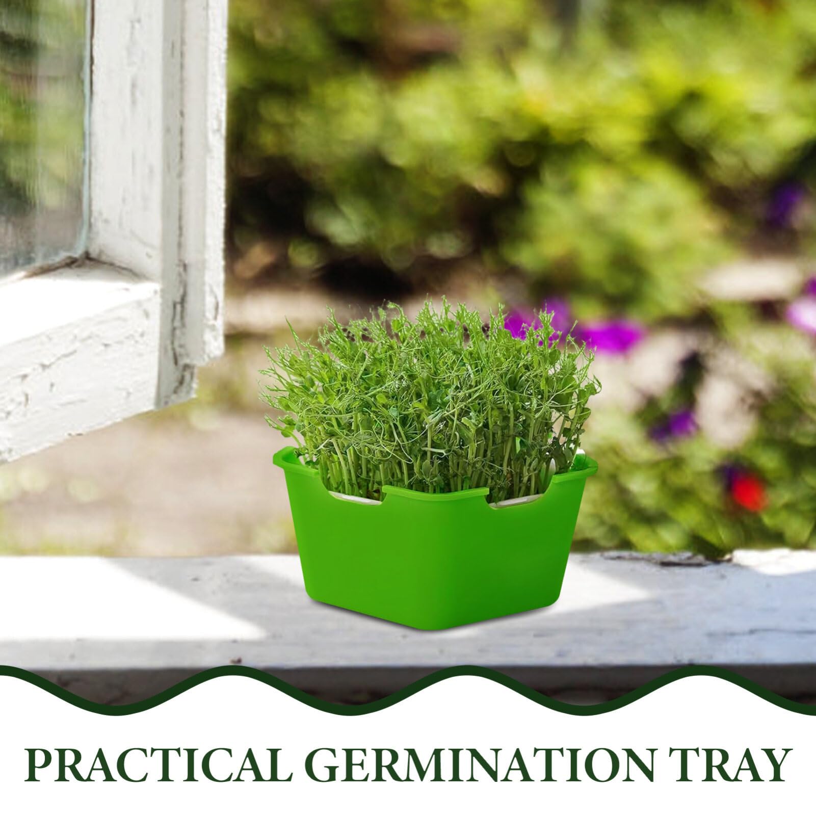 INOOMP 4ensembles Plateau De Germination Réutilisable avec Couvercle Tray De Démarrage pour Semences pour Fleurs Fruits Et Légumes