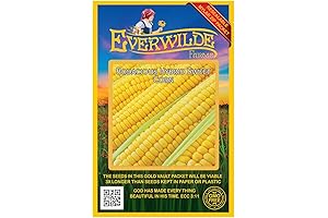 Everwilde Farms - Bodacious Hybrid Sweet Corn: Grow Colossal, Scrumptious Corn at Home