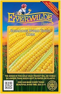 Everwilde Farms - 50 Bodacious Hybrid Sweet Corn Seeds - Gold Vault Jumbo