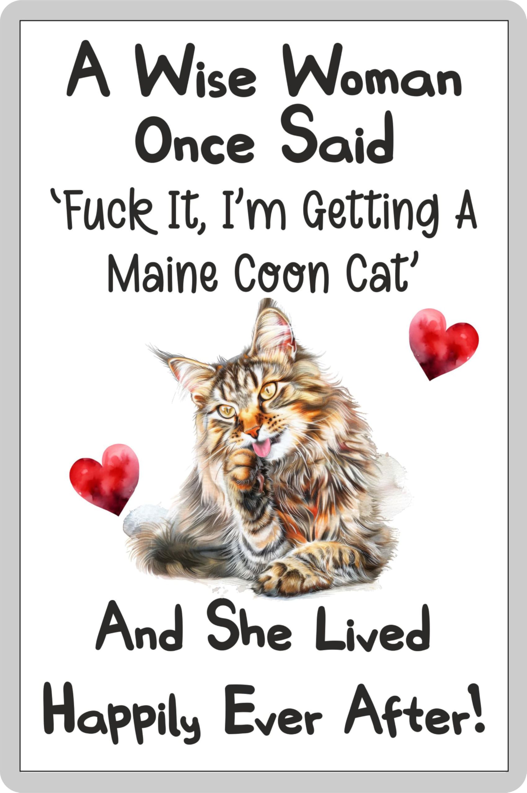 Decalarama Cat Fridge Magnet Gift – A Wise Woman Once Said Fuck It I'm Getting A Maine Coon Cat – Fun Rude Cute Fob Novelty Present