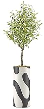 SIGNWIN Olive Tree with Black & White Swirling Color Block Pattern Vase Geometric Shapes Minimalism Zen Relax/Calm Dark for Living Room, Bedroom, Office - X-Large 5 Feet (60